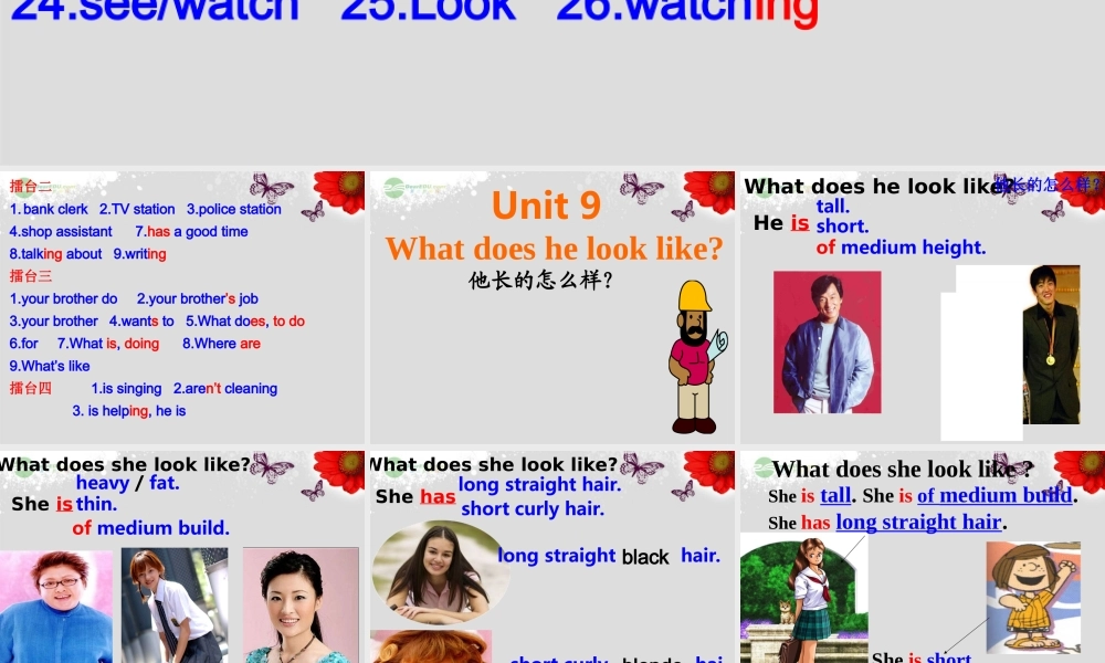 【浙江省】 《Unit 9 What does he look like？Lesson 1》课件.ppt