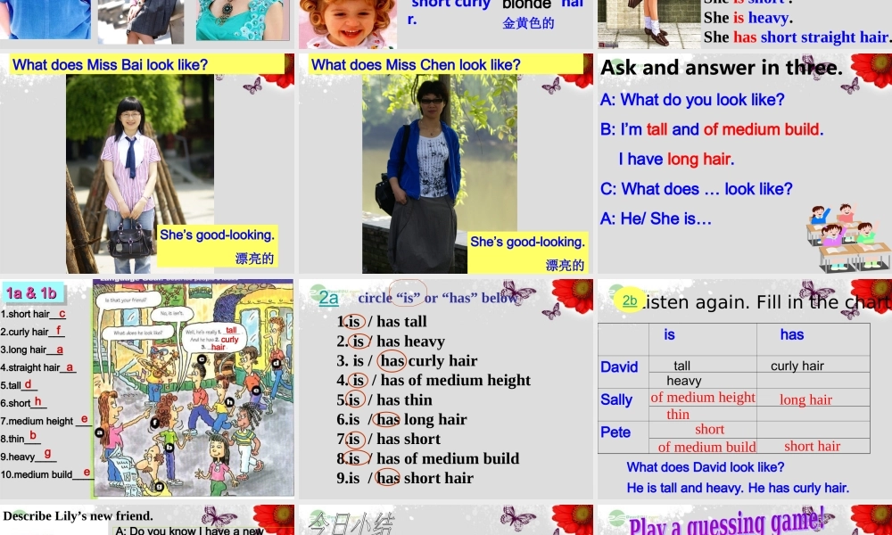 【浙江省】 《Unit 9 What does he look like？Lesson 1》课件.ppt