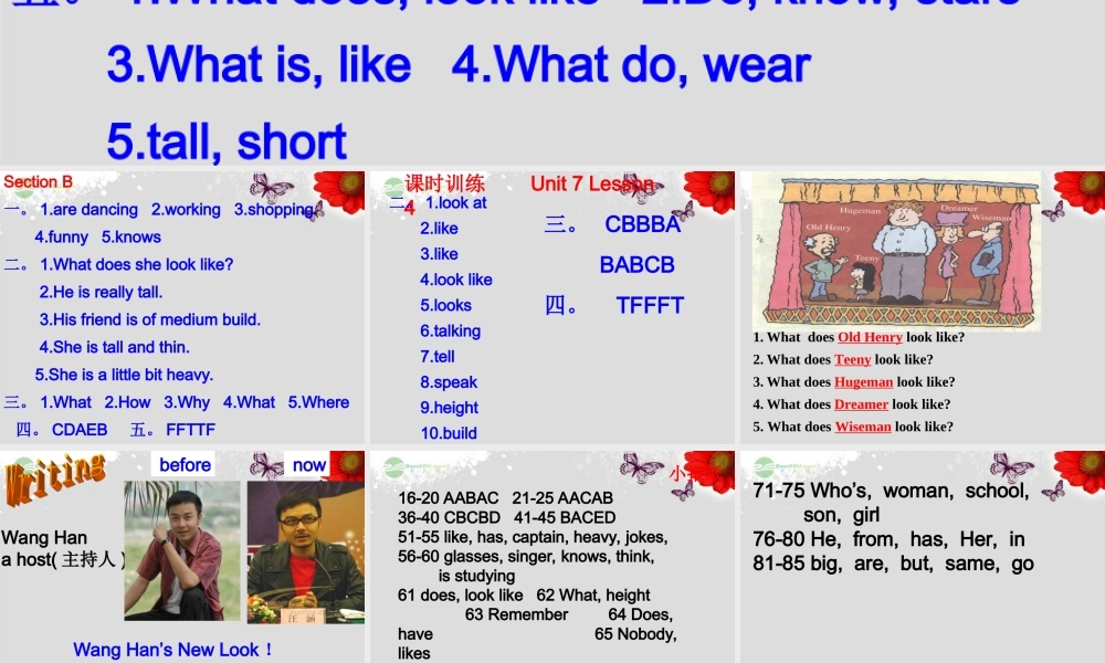 【浙江省】 《Unit 9 What does he look like？Lesson 5》课件.ppt