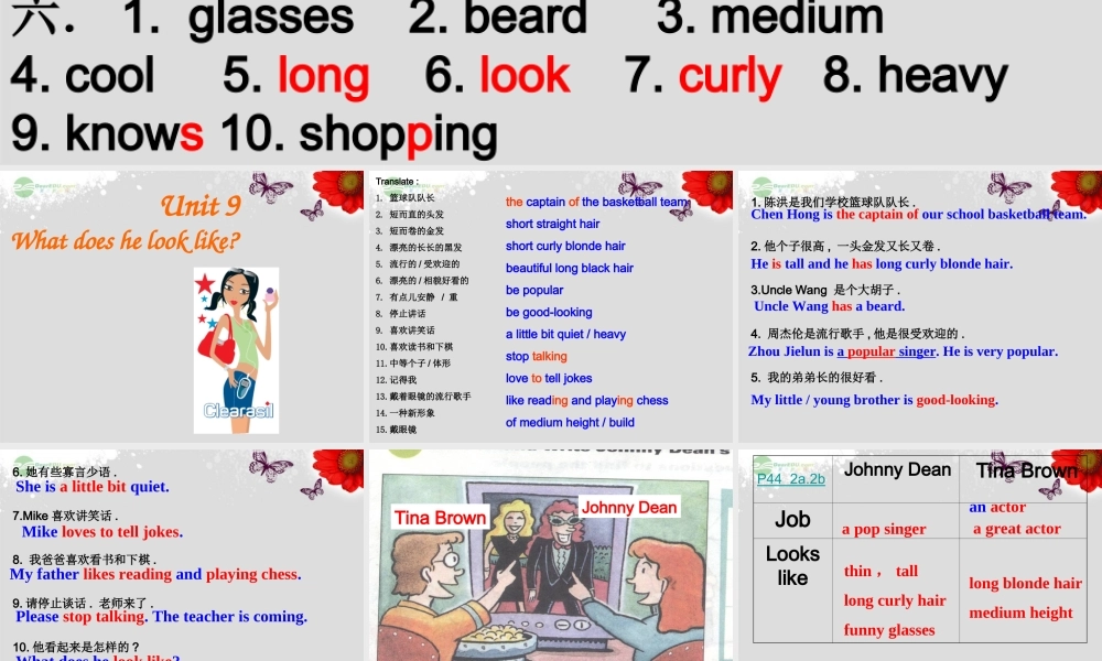 【浙江省】 《Unit 9 What does he look like？Lesson 3》课件.ppt