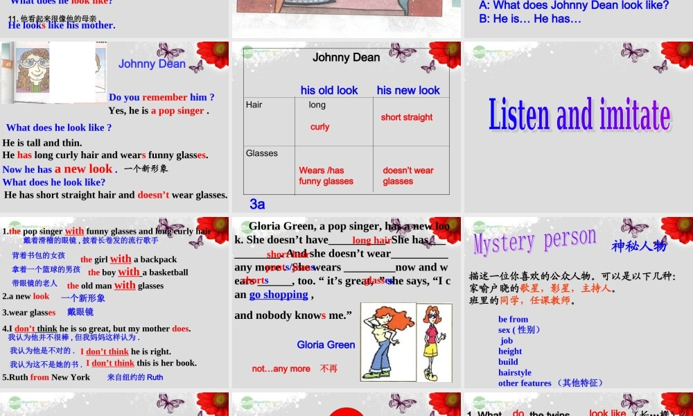 【浙江省】 《Unit 9 What does he look like？Lesson 3》课件.ppt