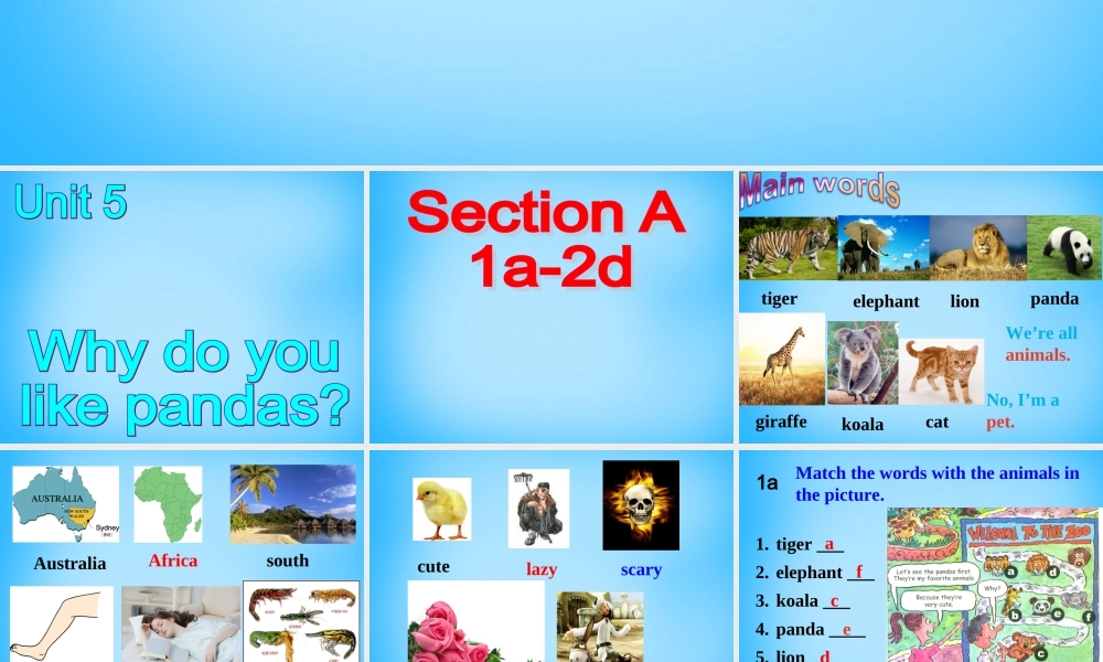 【湖北省】2Unit 5 Why do you like pandas Section A课件1.ppt
