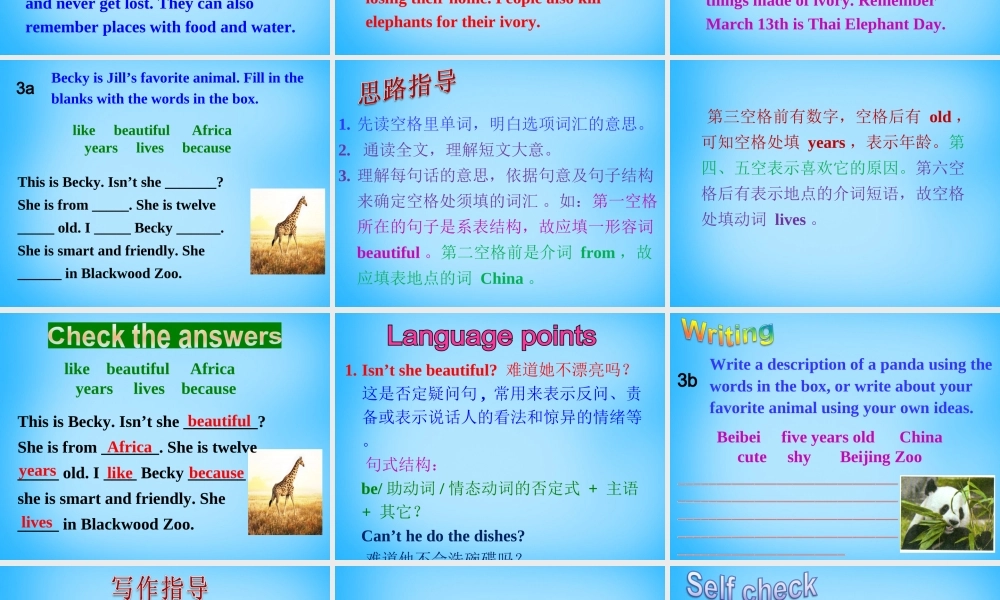 【湖北省】2Unit 5 Why do you like pandas Section B课件2.ppt