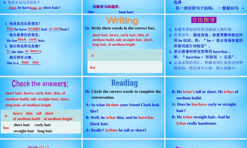 【湖北省】2Unit 9 What does he look like Section A课件2.ppt