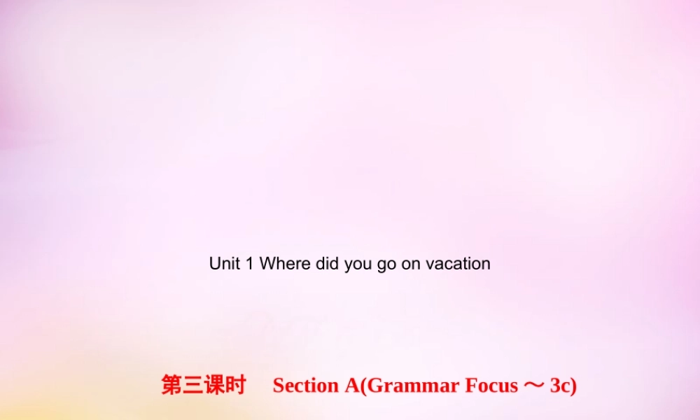 【练闯考】八年级英语上册 Unit 1 Where did you go on vacation（第3课时）Section A（Grammar Focus-3c）课件.ppt
