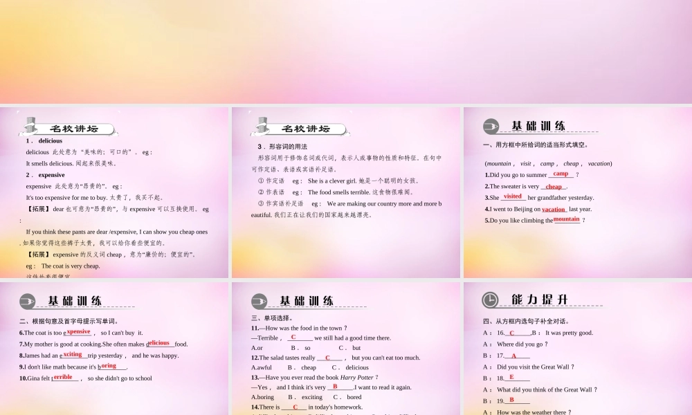 【练闯考】八年级英语上册 Unit 1 Where did you go on vacation（第4课时）Section B（1a-1e）课件.ppt