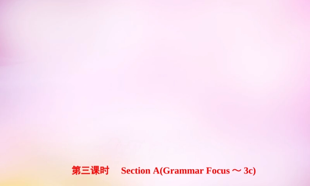 【练闯考】八年级英语上册 Unit 5 Do you want to watch a game show（第3课时）Section A（Grammar Focus-3c）课件.ppt