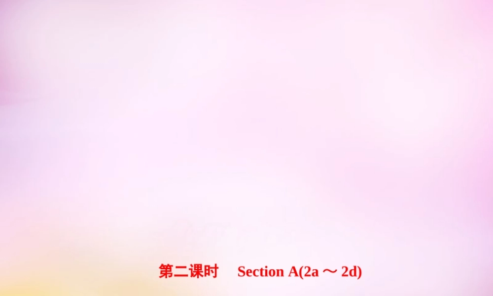 【练闯考】八年级英语上册 Unit 6 I’m going to study computer science（第2课时）Section A（2a-2d）课件.ppt