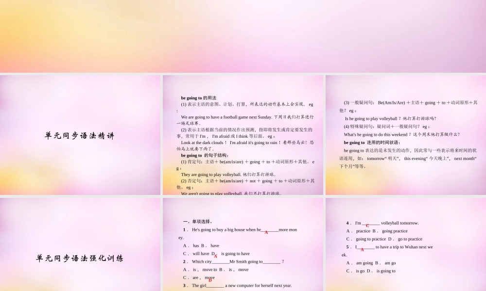 【练闯考】八年级英语上册 Unit 6 I’m going to study computer science（第3课时）Section A（Grammar Focus-3c）课件.ppt