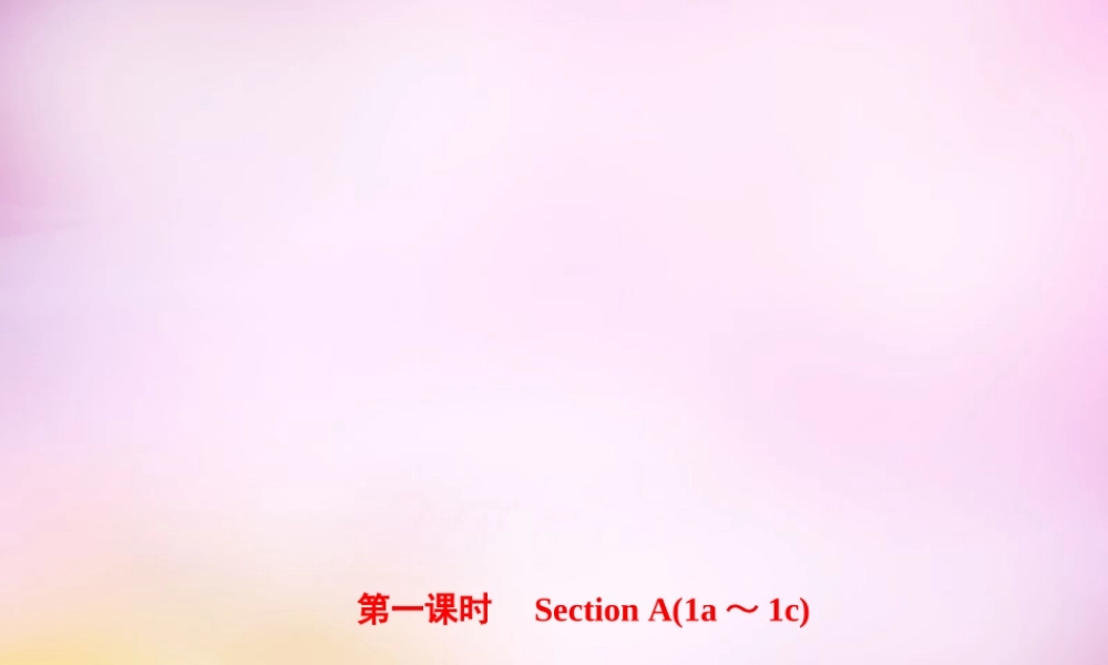 【练闯考】八年级英语上册 Unit 9 Can you come to my party（第1课时）Section A（1a-1c）课件.ppt