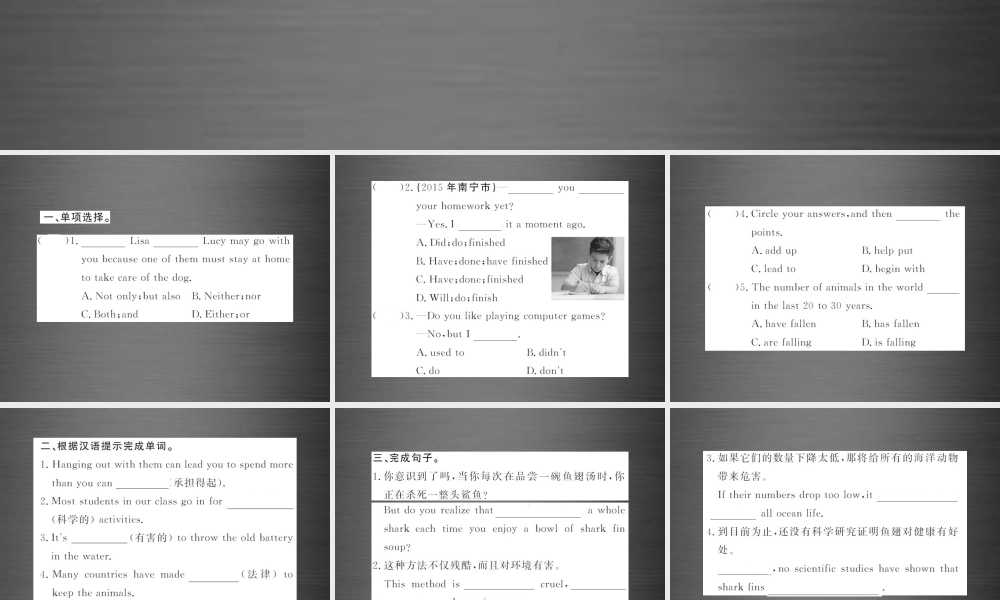 【课堂内外】九年级英语全册 Unit 13 We’re trying to save the earth（第2课时）课件.ppt