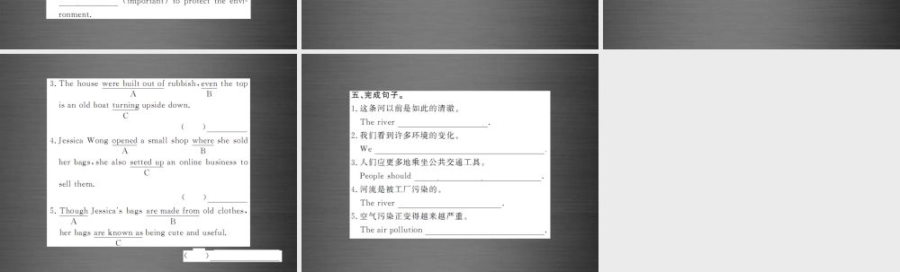 【课堂内外】九年级英语全册 Unit 13 We’re trying to save the earth（第5课时）课件.ppt