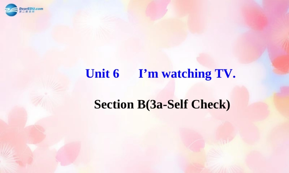 【金榜学案】Unit 6 I’m watching TV Section B(3a-Self Check)课件.ppt