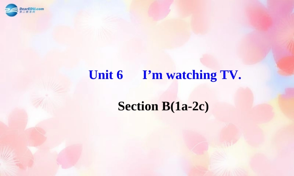 【金榜学案】Unit 6 I’m watching TV Section B(1a-2c)课件.ppt