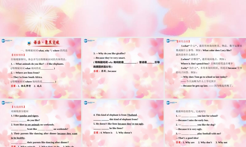 【金榜学案】Unit 5 Why do you like pandas阶段专题复习课件.ppt