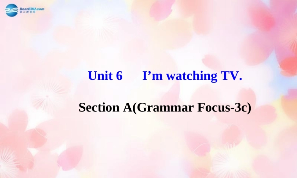 【金榜学案】Unit 6 I’m watching TV Section A(Grammar Focus-3c)课件.ppt