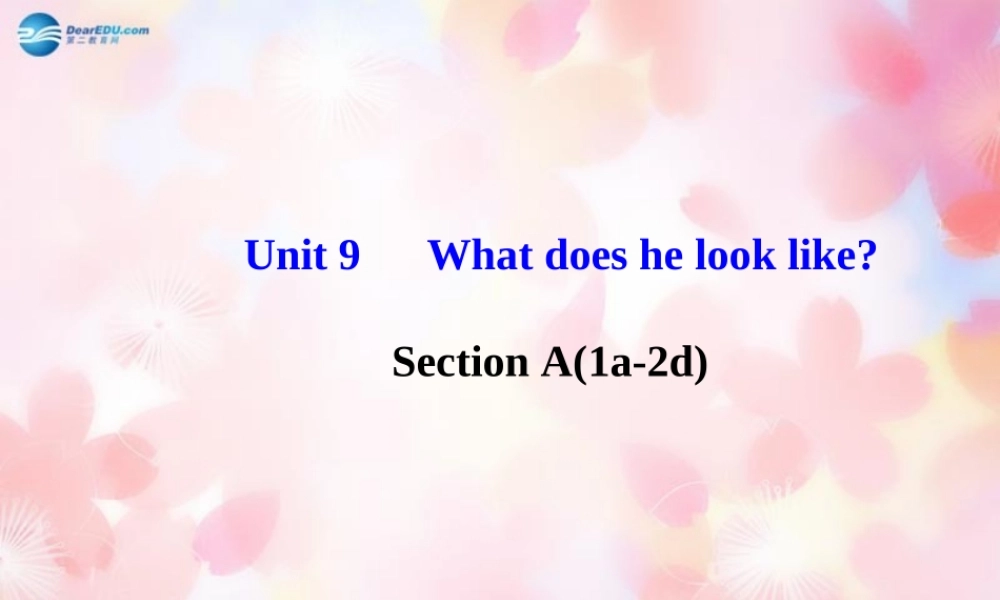 【金榜学案】Unit 9 What does he look like Section A(1a-2d)课件.ppt