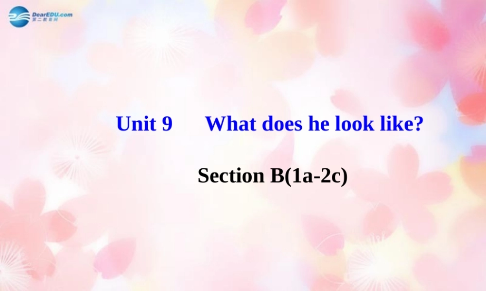 【金榜学案】Unit 9 What does he look like Section B(1a-2c)课件.ppt
