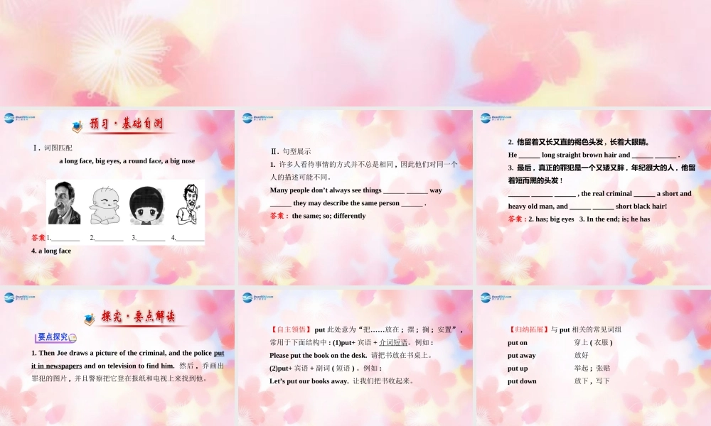 【金榜学案】Unit 9 What does he look like Section B(1a-2c)课件.ppt