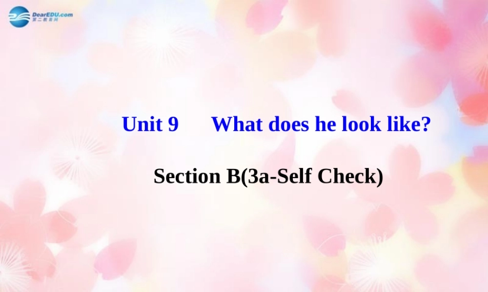 【金榜学案】Unit 9 What does he look like Section B(3a-Self Check)课件.ppt