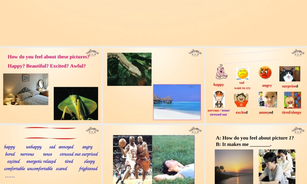 【金识源】九年级英语全册 Unit 11 Sad movies make me cry（第1课时）课件.ppt