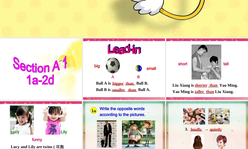 【金识源】八年级英语上册 Unit 3 I’m more outgoing than my sister（第1课时）课件.ppt