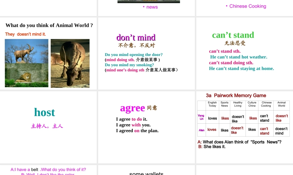 【金识源】八年级英语上册 Unit 5 Do you want to watch a game show？（第3课时）课件.ppt