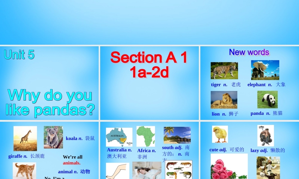 【陕西省】Unit 5 Why do you like pandas课件1.ppt