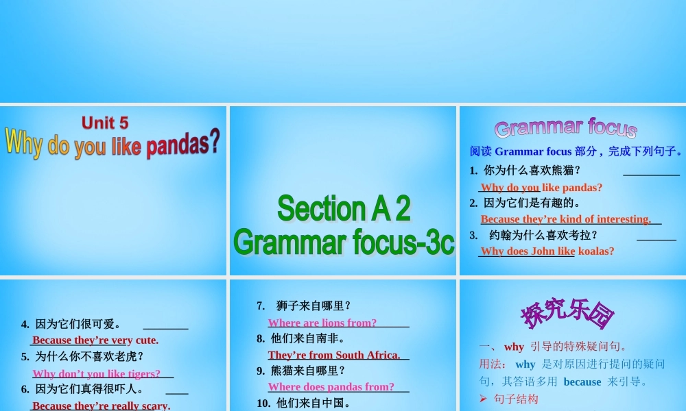 【陕西省】Unit 5 Why do you like pandas课件2.ppt