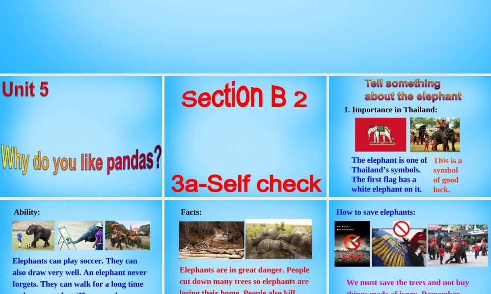 【陕西省】Unit 5 Why do you like pandas课件4.ppt