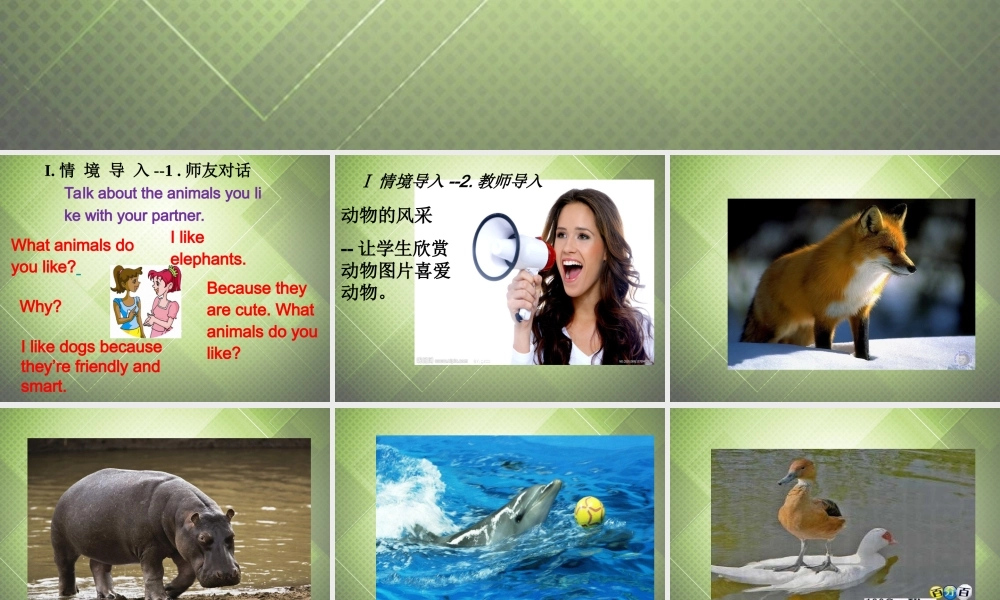 【黑龙江】《Unit 5 Why do you like pandas Period 3》课件.ppt