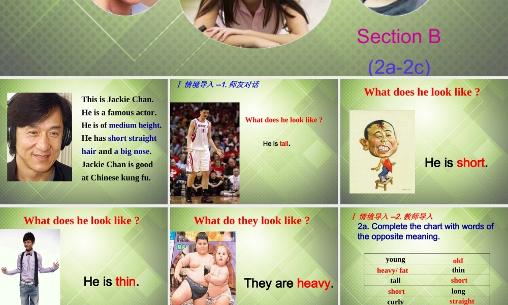 【黑龙江】《Unit 9 What does he look like Period 3》课件.ppt