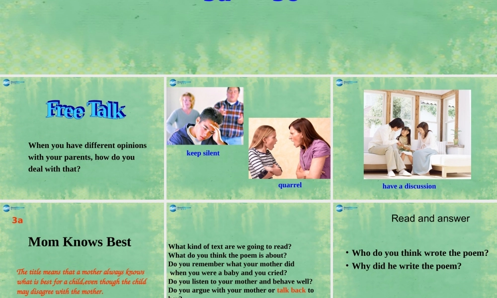 九年级英语全册 Unit 7 Teenagers should be allowed to choose their own clothes Section A（3a-3c）课件.ppt