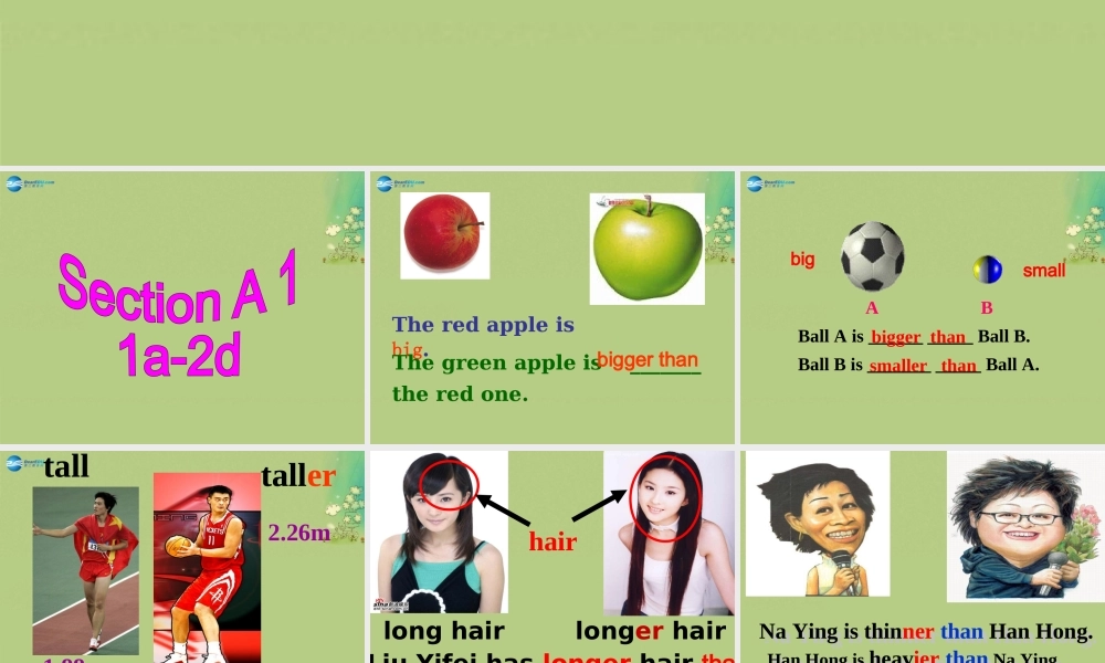 八年级英语上册 Unit 3 I’m more outgoing than my sister课件.ppt