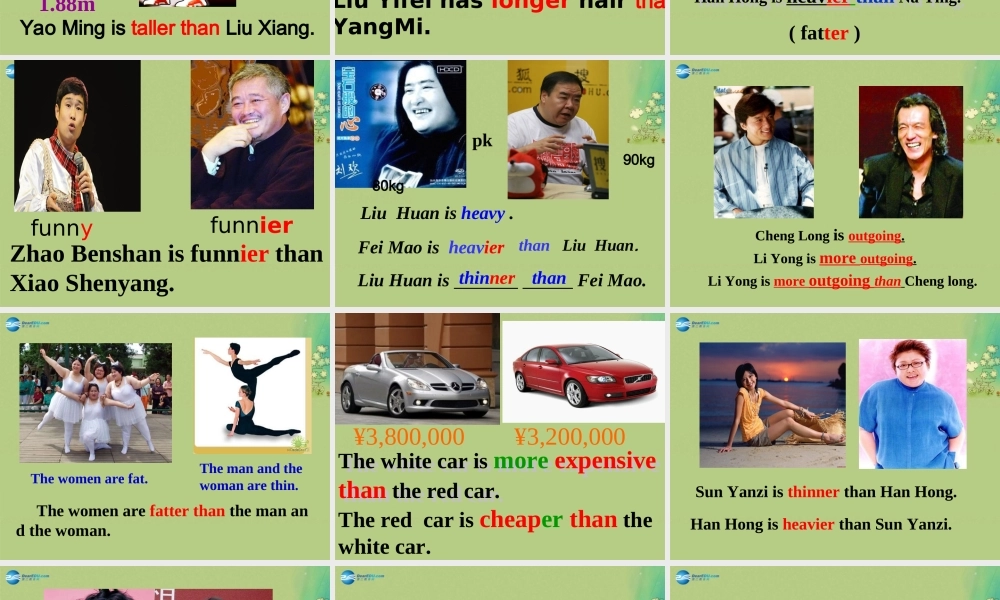 八年级英语上册 Unit 3 I’m more outgoing than my sister课件.ppt