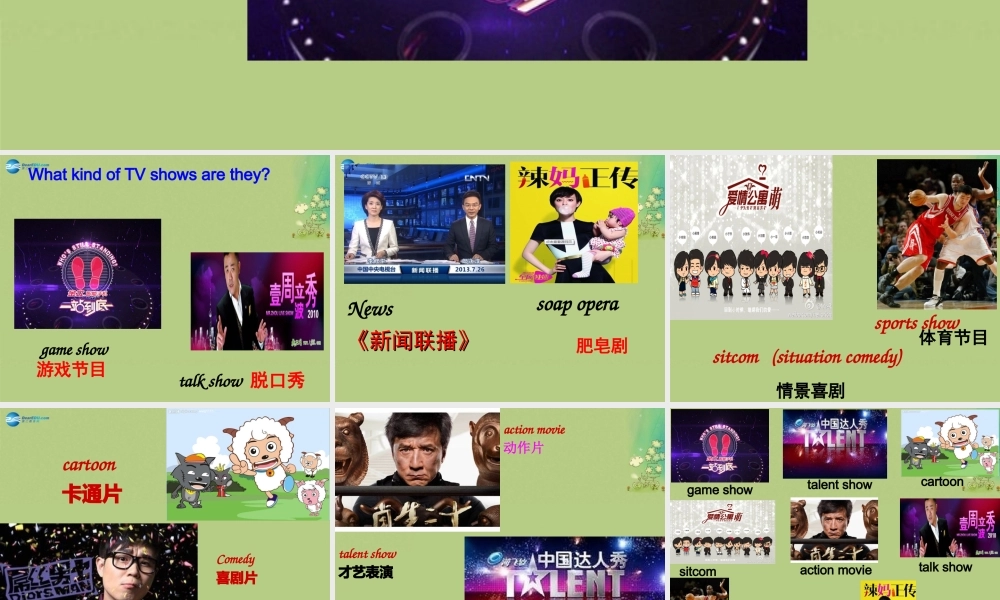 八年级英语上册 Unit 5 Do you want to watch a game show Section A（1a-2c）课件.ppt