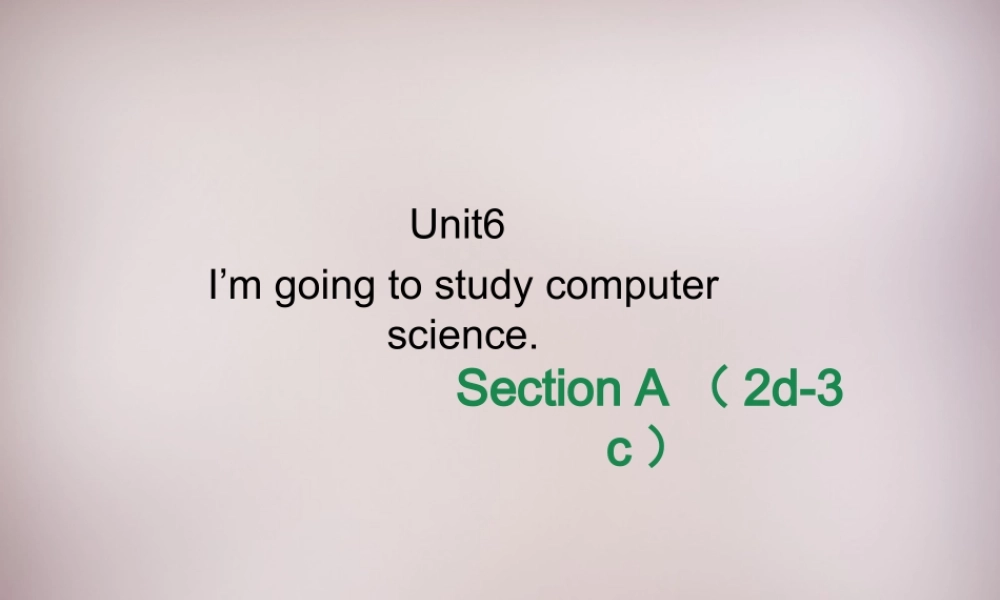 八年级英语上册 Unit 6 I’m going to study computer science Section A（2d-3c）课件.ppt