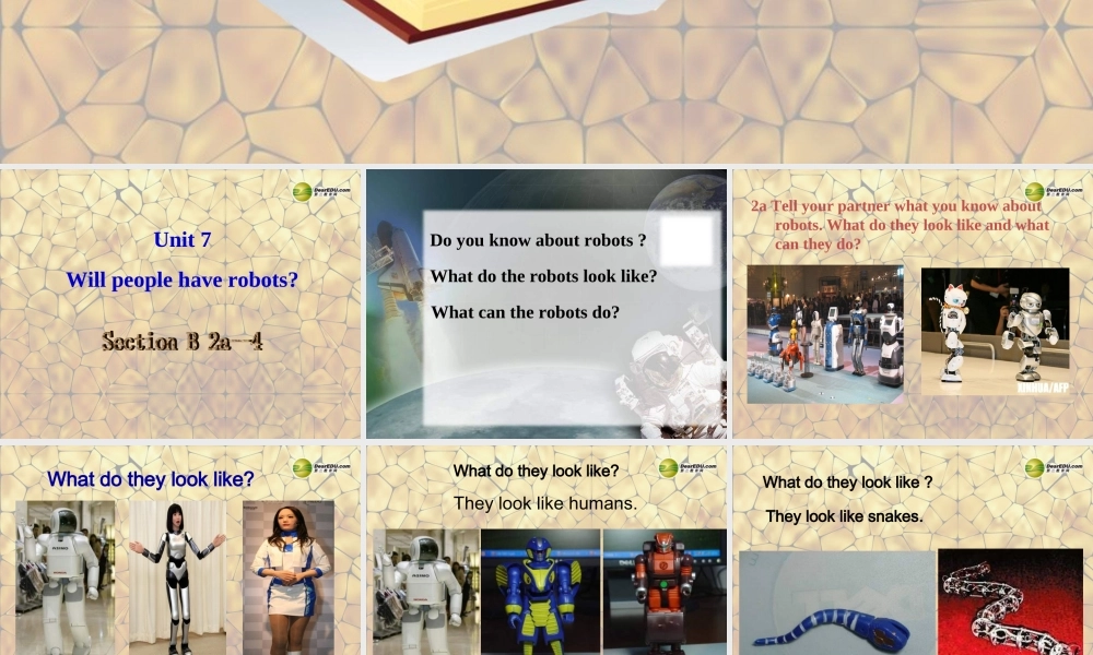 八年级英语上册 Unit 7 Will people have robots Section B-2a-4课件.ppt