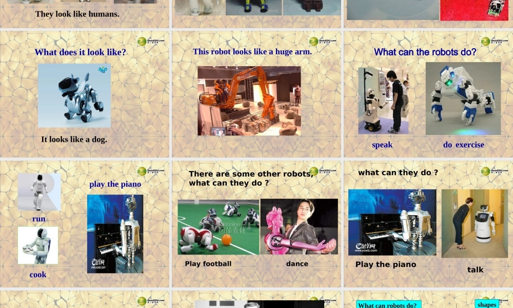 八年级英语上册 Unit 7 Will people have robots Section B-2a-4课件.ppt