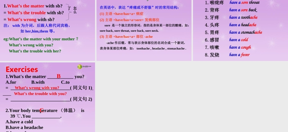 八年级英语下册 Unit 1 What's the matter？Section A period 1(1a-1c)课件 .ppt