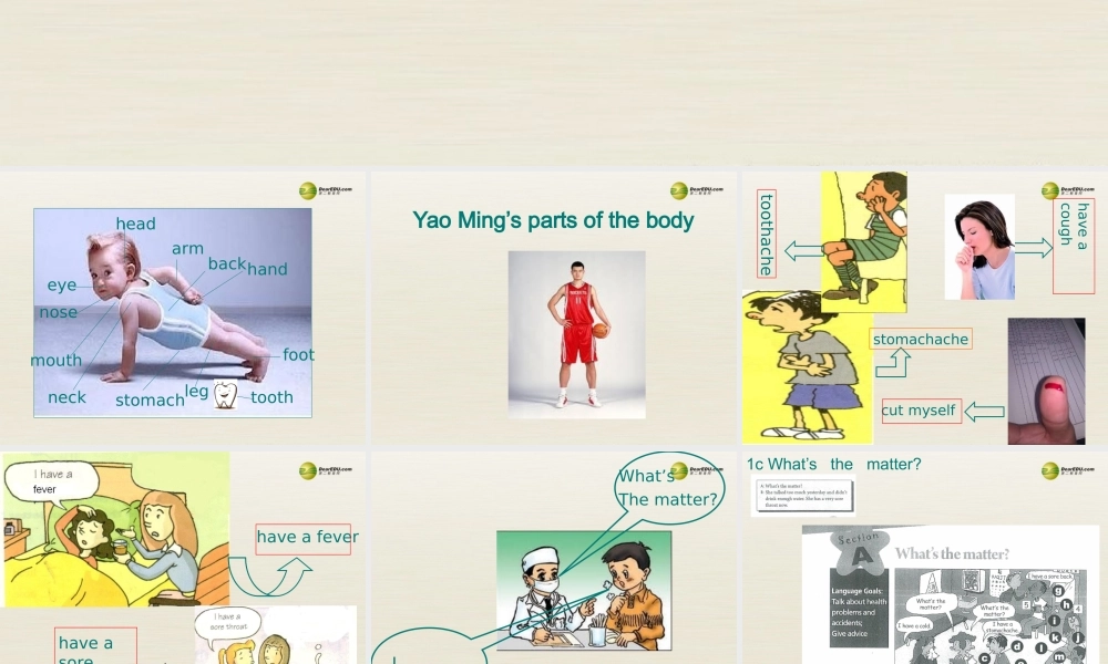 八年级英语下册 Unit 1 What’s the matter Period 1课件 .ppt