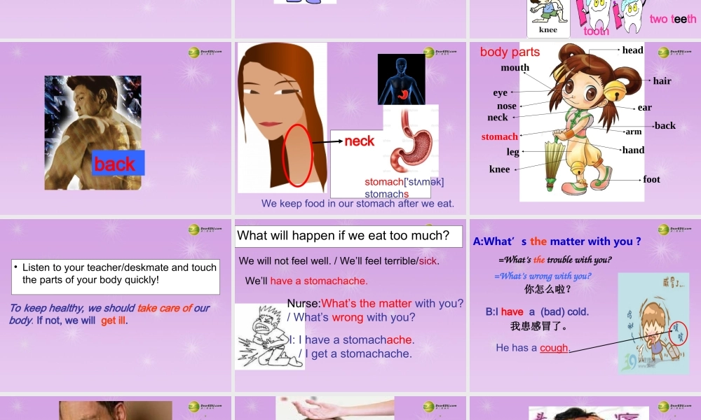 八年级英语下册 Unit 1 What’s the matter（Section A 1a-1c）课件 .ppt