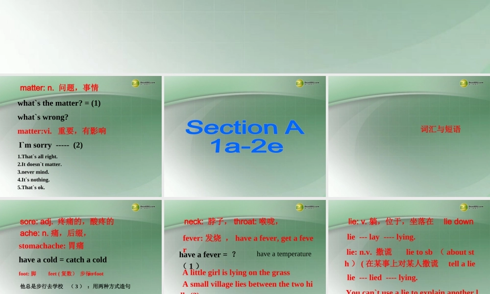 八年级英语下册 Unit 1 What’s the matter？（Section A 1a-2e）词汇课件 .ppt