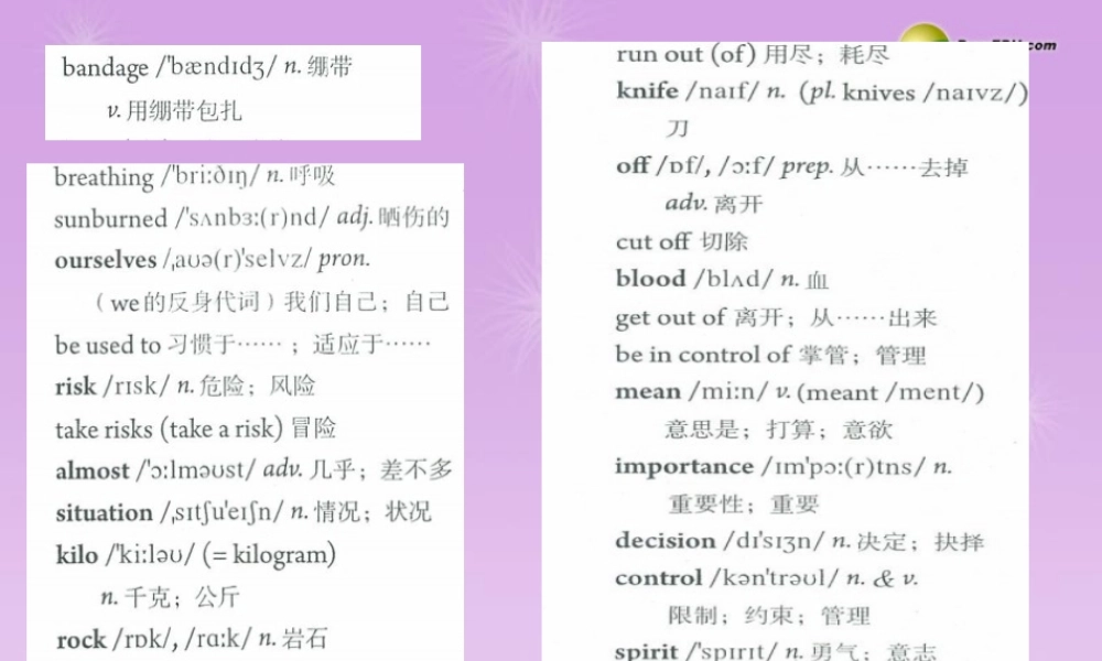 八年级英语下册 Unit 1 What’s the matter？Section B (2a-2e)课件 .ppt