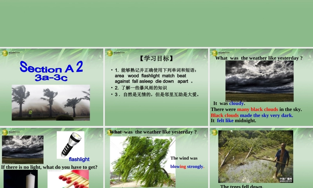 八年级英语下册 Unit 5 What were you doing when the rainstorm came Section A（3a-3c）课件 .ppt