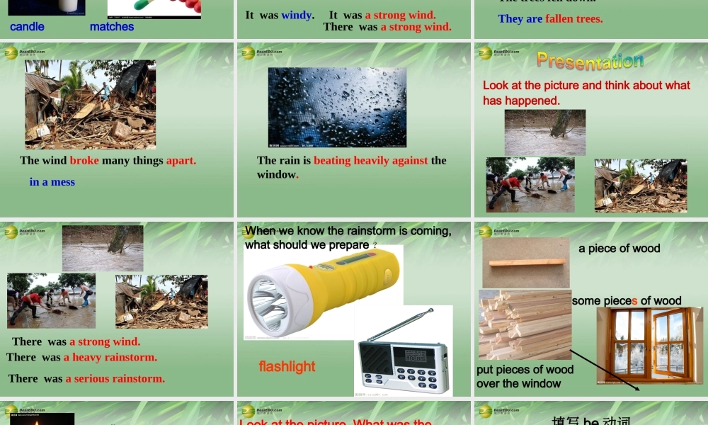 八年级英语下册 Unit 5 What were you doing when the rainstorm came Section A（3a-3c）课件 .ppt