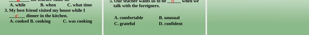 八年级英语下册 Unit 5 What were you doing when the rainstorm came Section A（grammarfocus-4c）课件 .ppt