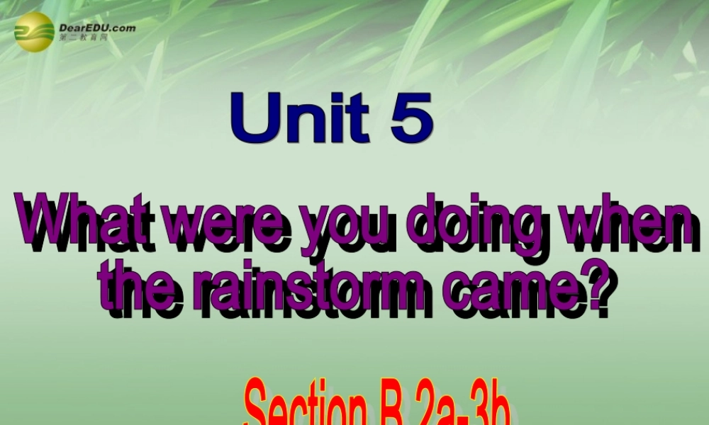 八年级英语下册 Unit 5 What were you doing when the rainstorm came（Section B2）课件 .ppt