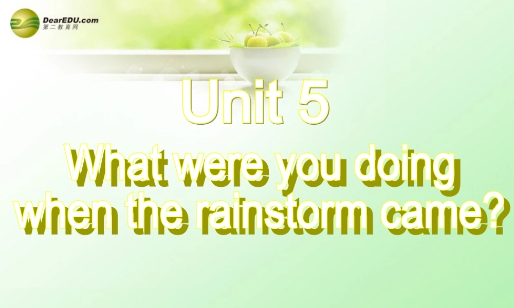 八年级英语下册 Unit 5 What were you doing when the rainstorm came？Section B(3a-Self check)精品课件 .ppt