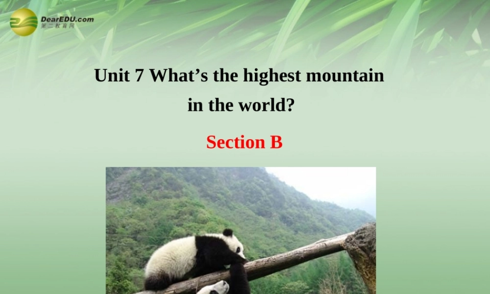 八年级英语下册 Unit 7 What's the highest mountain in the world Section B课件 .ppt